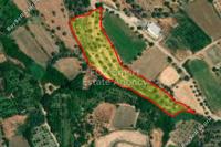8362 SQM Land · Evrychou (Nicosia) for sale 