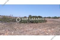 17392 SQM Land in Agios Theodoros Larnacas (Larnaca) for sale 