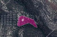 10368 SQM Land · Agios Therapon (Limassol) for sale 