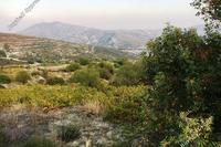 3456 SQM Land in Silikou (Limassol) for sale 