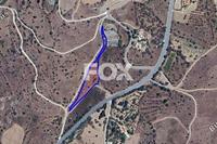 4646 SQM Land in Pentalia (Paphos) for sale 