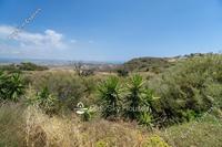 7390 SQM Land in Pissouri (Limassol) for sale 