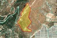 44892 SQM Land in Pissouri (Limassol) for sale 