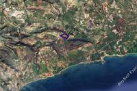 58529 SQM Land · Agios Theodoros Larnacas (Larnaca) for sale 