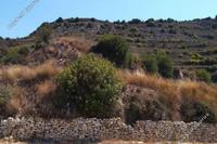 3679 SQM Land · Pachna (Limassol) for sale 