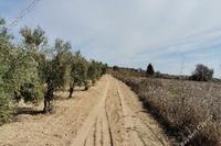 5017 SQM Land in Akoursos (Paphos) for sale 