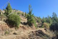 8027 SQM Land · Gourri (Nicosia) for sale 