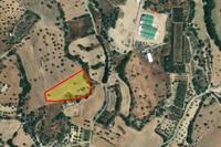 10034 SQM Land in Mazotos (Larnaca) for sale 