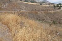 17726 SQM Land · Amargeti (Paphos) for sale 