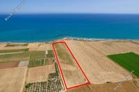 27960 SQM Land in Softades (Larnaca) for sale 