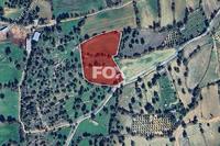10703 SQM Land · Anogyra (Limassol) for sale 
