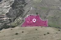 14047 SQM Land in Agios Dimitrianos (Paphos) for sale 