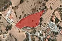 2339 SQM Land · Kouklia Pafou (Paphos) for sale 