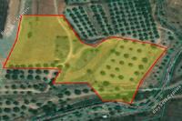 12710 SQM Land in Pera Orinis (Nicosia) for sale 