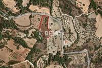 6355 SQM Land in Lysos (Paphos) for sale 