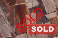 7024 SQM Land in Peristerona Lefkosias (Nicosia) for sale 