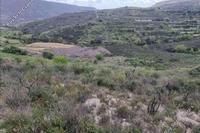 10703 SQM Land in Pachna (Limassol) for sale 