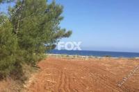 10374 SQM Land in Nea Dimmata (Paphos) for sale 