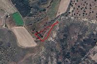 3017 SQM Land in Pelathousa (Paphos) for sale 