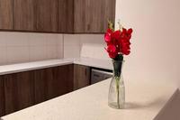 2 Bedroom Apartment · Chrysopolitissa (Larnaca) to rent 