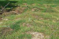15600 SQM Land in Erimi (Limassol) for sale 