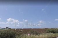 11502 SQM Land in Timi (Paphos) for sale 