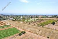 3670 SQM Land in Peyia (Paphos) for sale 