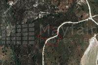 5017 SQM Plot · Dora (Limassol) for sale 