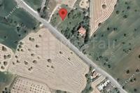 6420 SQM Land in Mazotos (Larnaca) for sale 