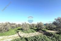 1685 SQM Land in Athienou (Larnaca) for sale 
