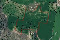 14716 SQM Land in Anglisides (Larnaca) for sale 