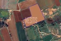 8192 SQM Plot in Sotira Ammochostou (Famagusta) for sale 