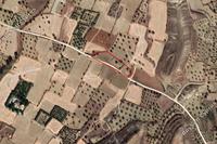 4348 SQM Land in Pera Orinis (Nicosia) for sale 