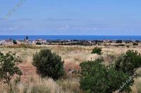 5686 SQM Plot in Anarita (Paphos) for sale 