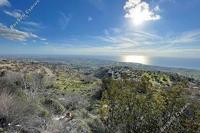 14500 SQM Plot in Koili (Paphos) for sale 