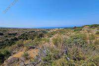 6021 SQM Land in Ineia (Paphos) for sale 