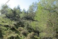 1493 SQM Land in Psevdas (Larnaca) for sale 