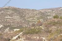 14382 SQM Land in Vasa Kilaniou (Limassol) for sale 