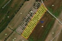 3142 SQM Land · Konia (Paphos) for sale 