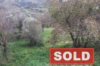6728 SQM Land in Giolou (Paphos) for sale 