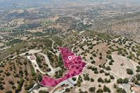 14047 SQM Land in Peristerona Pafou (Paphos) for sale 