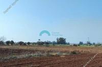 15311 SQM Land in Avgorou (Famagusta) for sale 