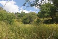 2054 SQM Land in Drimou (Paphos) for sale 
