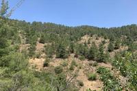 5120 SQM Land in Platanistasa (Nicosia) for sale 