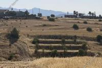 9365 SQM Land · Vyzakia (Nicosia) for sale 