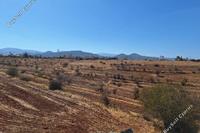 9365 SQM Land · Vyzakia (Nicosia) for sale 