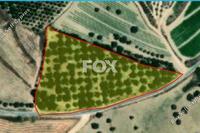 5352 SQM Land · Chrysochou (Paphos) for sale 