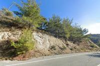 8362 SQM Land · Pelendri (Limassol) for sale 