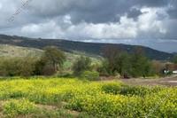 5686 SQM Land in Giolou (Paphos) for sale 
