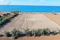 16 SQM Land in Tombs Of The Kings (Paphos) for sale 